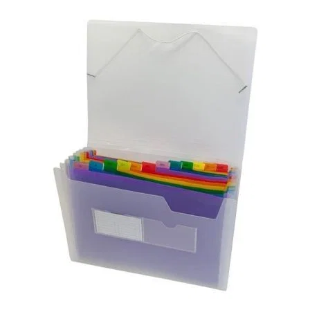 Grafoplas Clasificador Transparente con 13 Departamentos Multicolor
